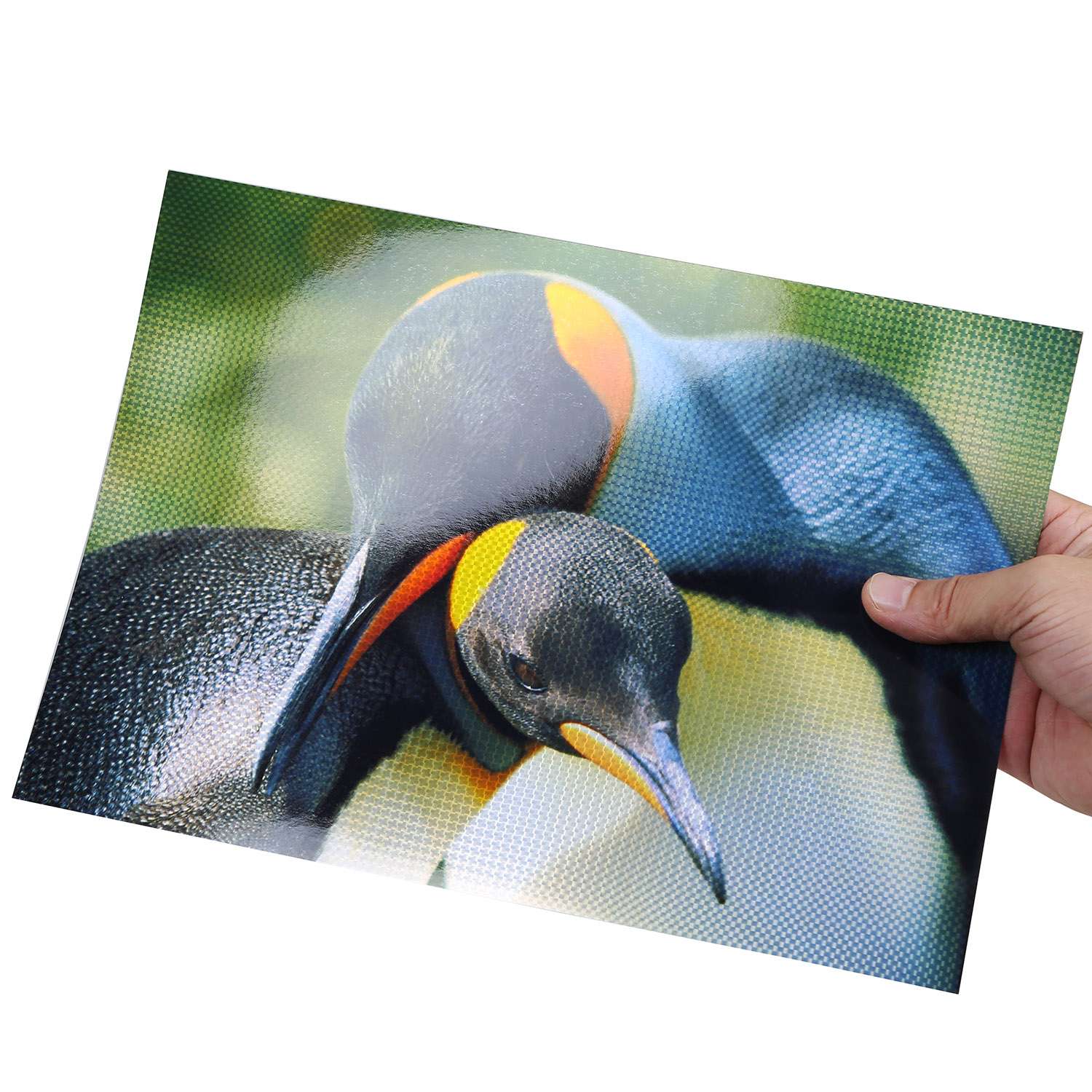 BA-SC260